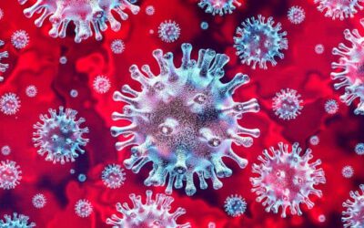 What is Coronavirus (COVID-19)